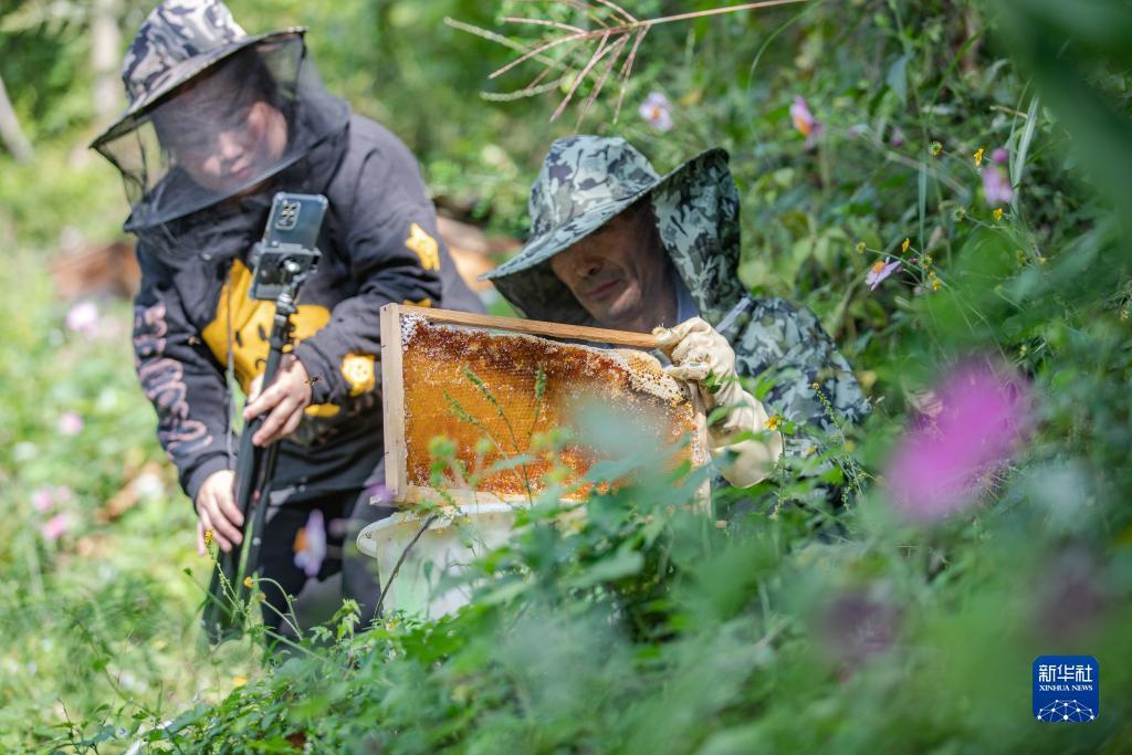 电子游戏厅下载